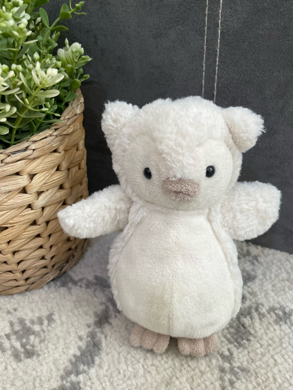 Jellycat Little Bashful Snowy Owl stuffed plush toy